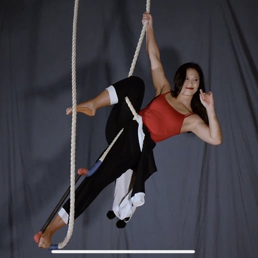 Gallery photo 3 of Chelsea - Aerialist