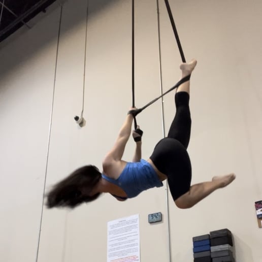 Gallery photo 5 of Chelsea - Aerialist
