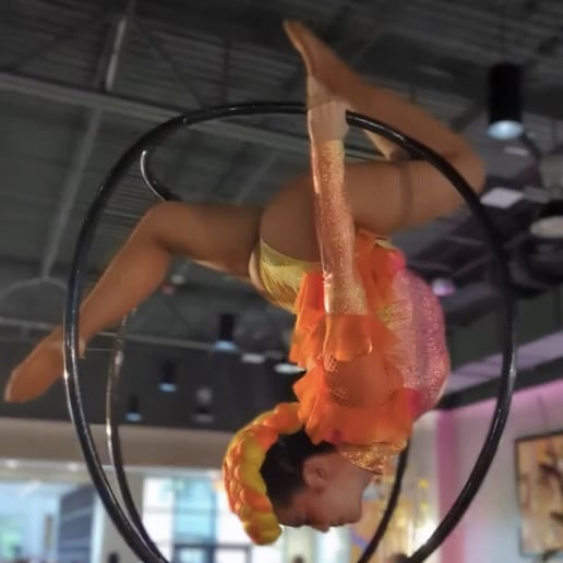 Gallery photo 6 of Chelsea - Aerialist