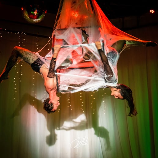 Gallery photo 7 of Chelsea - Aerialist