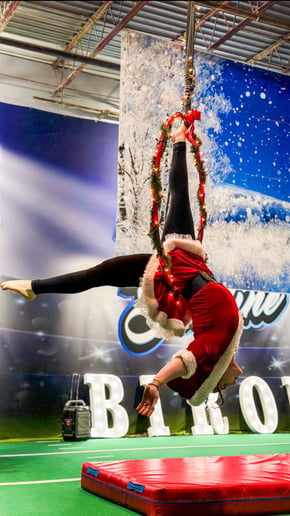Gallery photo 1 of Aerialist, Sabrina M