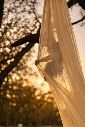 Gallery photo 4 of Aerialist, Sabrina M