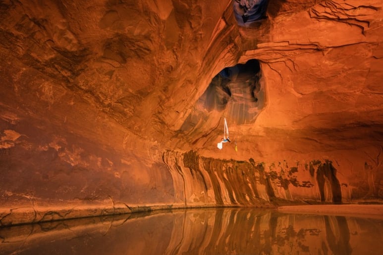 Gallery photo 1 of Aerialist in the Wild