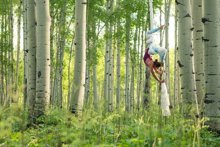 Gallery photo 2 of Aerialist in the Wild