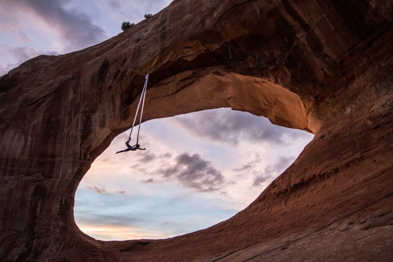 Gallery photo 5 of Aerialist in the Wild