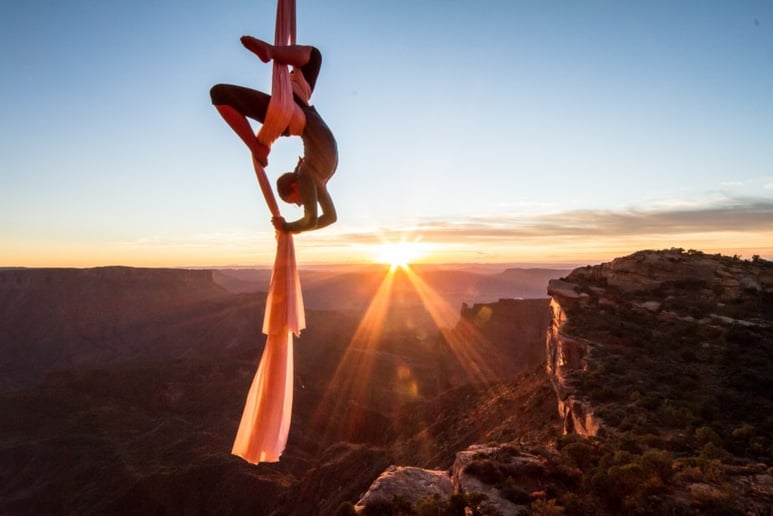 Gallery photo 6 of Aerialist in the Wild