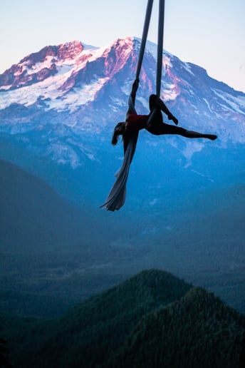 Gallery photo 9 of Aerialist in the Wild