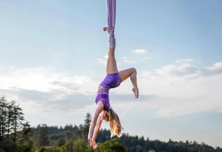 Gallery photo 2 of Aerialist (moon, cloud, hammock, chains)