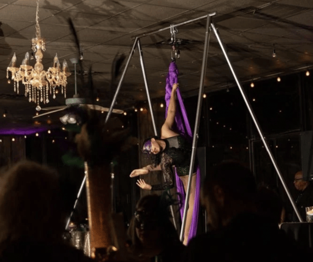 Gallery photo 1 of Aerialist Tori