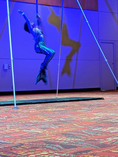 Gallery photo 4 of Aerialist Tori