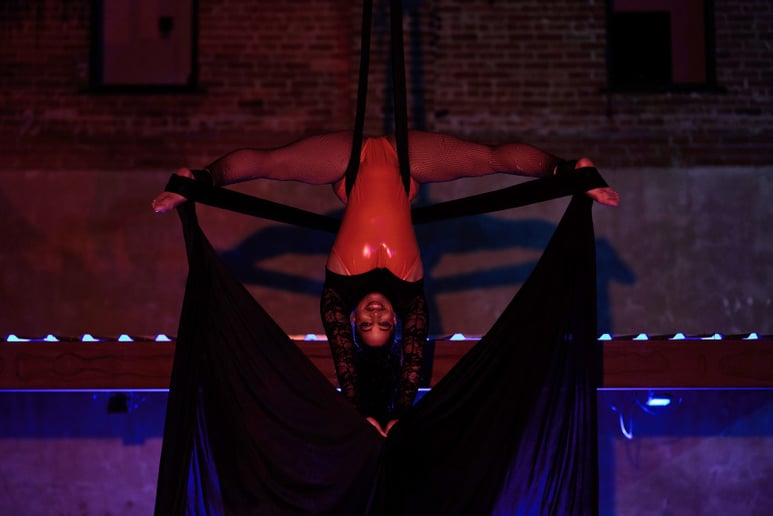 Gallery photo 6 of Aerialist Tori