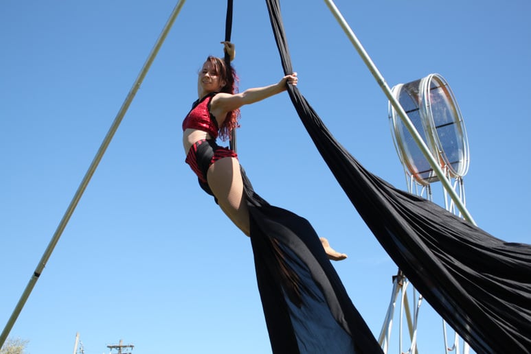 Gallery photo 7 of Aerialist/Fire Performer