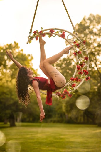 Gallery photo 4 of Aerialist/Fire Performer