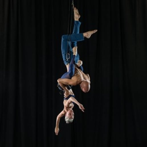 Gallery photo 1 of Aerial, Dance, Fire, and Choreography