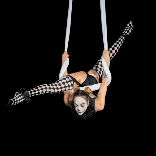 Gallery photo 1 of Aerie Fairy
