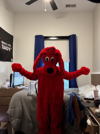 Gallery photo 3 of Trent's Affordable Mascots