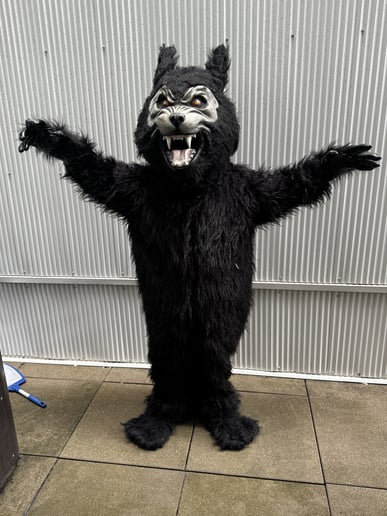 Gallery photo 7 of Trent's Affordable Mascots