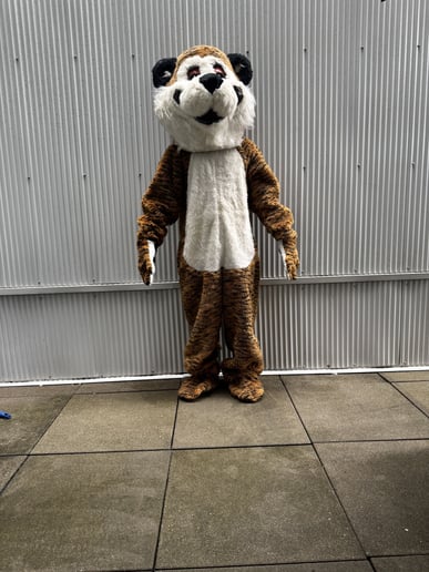 Gallery photo 5 of Trent's Affordable Mascots
