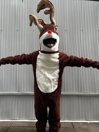 Gallery photo 2 of Trent's Affordable Mascots
