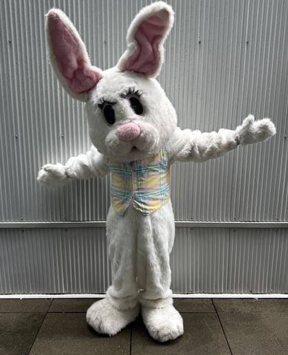 Gallery photo 1 of Trent's Affordable Mascots