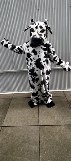 Gallery photo 6 of Trent's Affordable Mascots