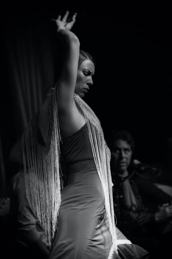 Gallery photo 4 of AguaClara Flamenco