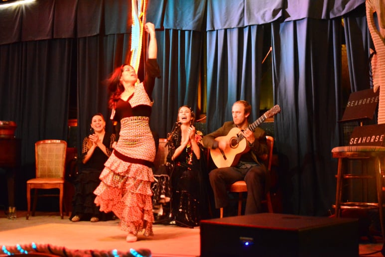 Gallery photo 7 of AguaClara Flamenco