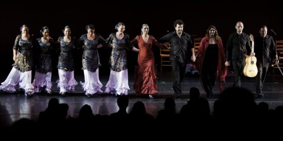 Gallery photo 15 of Aguilar Flamenco