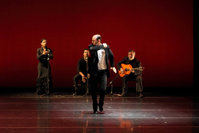 Gallery photo 9 of Aguilar Flamenco