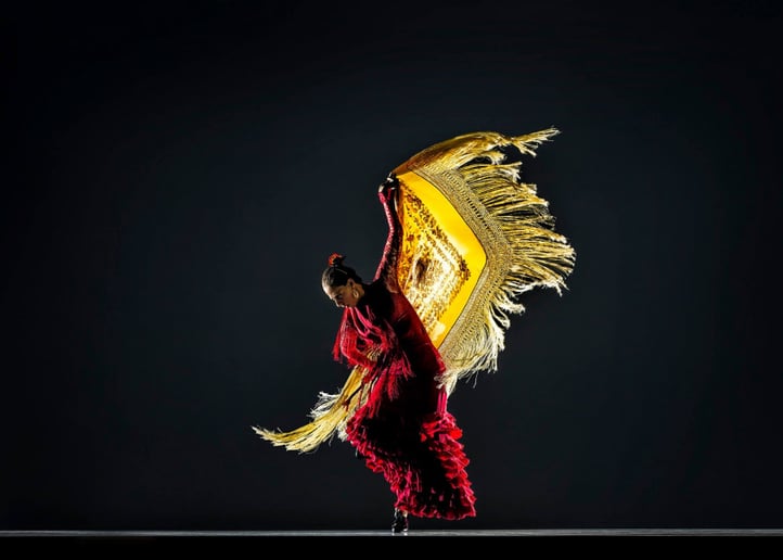 Gallery photo 4 of Aguilar Flamenco