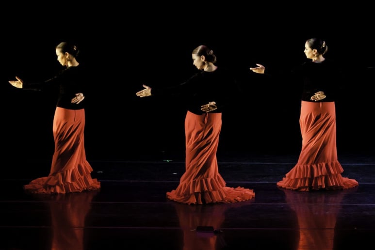 Gallery photo 11 of Aguilar Flamenco