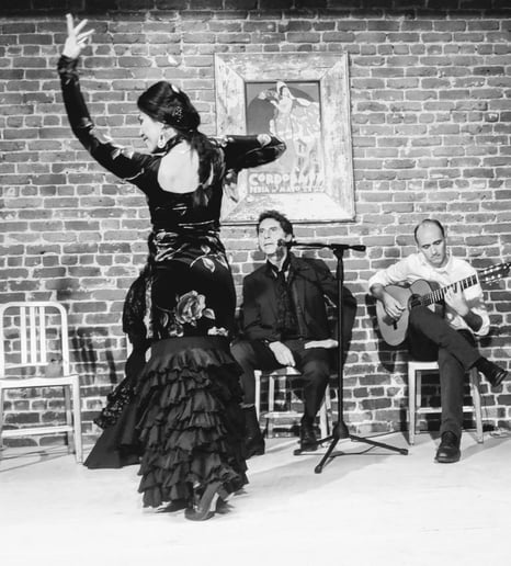 Gallery photo 13 of Aguilar Flamenco