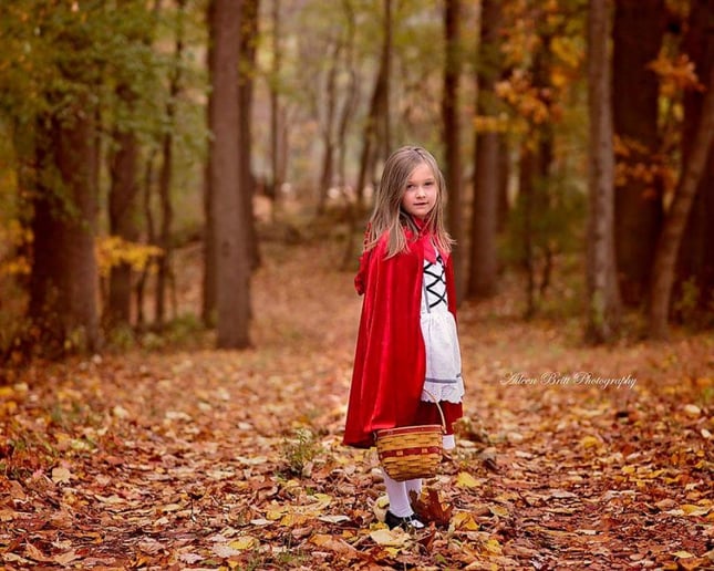 Gallery photo 2 of Aileen Britt Photography L.L.C