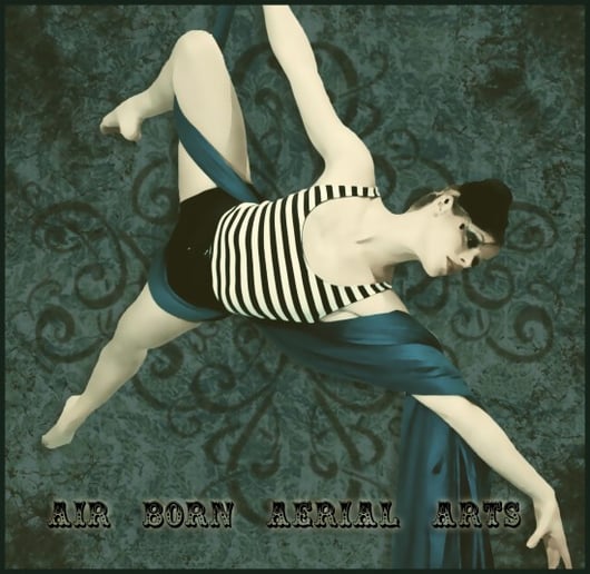 Gallery photo 3 of Air Born Aerial Arts