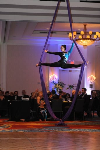 Gallery photo 1 of AIRotique aerial performance
