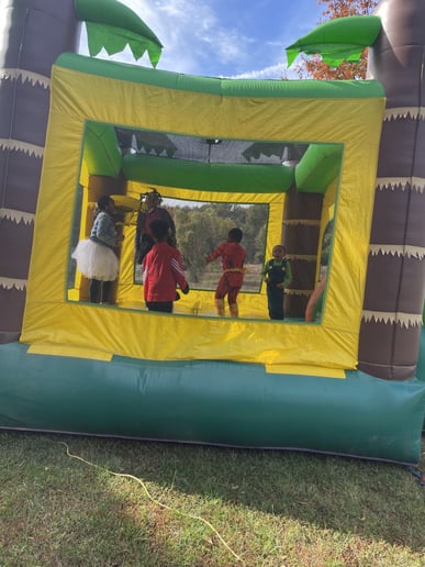 Gallery photo 10 of Airheads inflatables