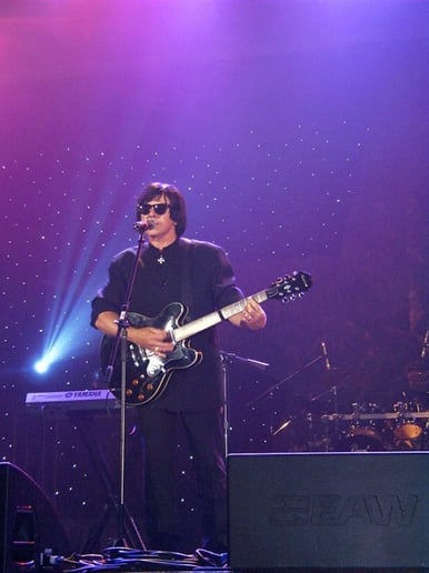 Gallery photo 2 of Al Nelson Rock "N" Soul Show