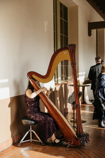 Gallery photo 6 of Alaina Stark, Harpist