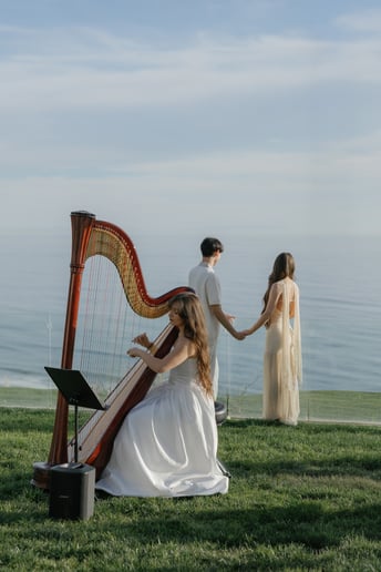 Gallery photo 7 of Alaina Stark, Harpist