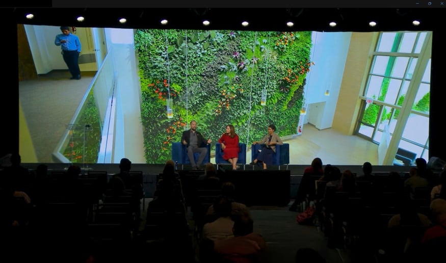 Gallery photo 3 of Alan Burchell - The Power of Plants