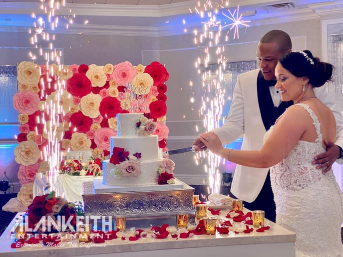 Gallery photo 7 of Alan Keith Entertainment & Photo Booths