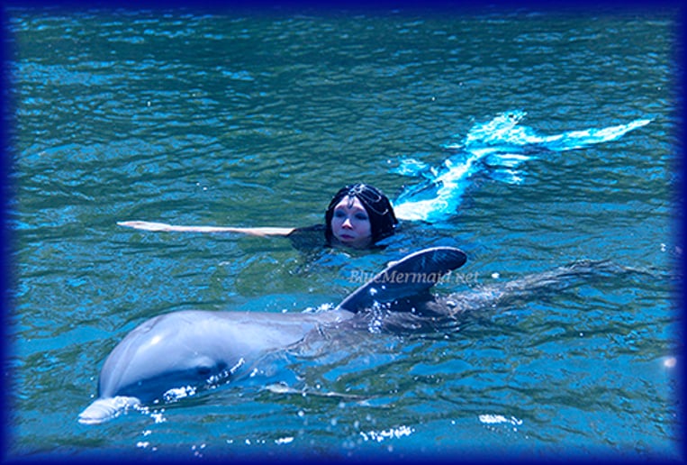 Gallery photo 2 of Blue Mermaid Designs