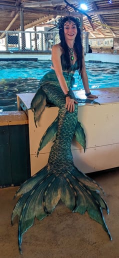 Gallery photo 3 of Blue Mermaid Designs