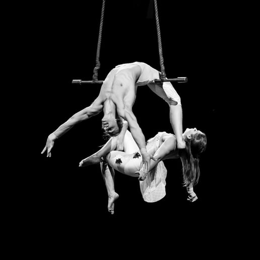 Gallery photo 9 of Alchemy Acro