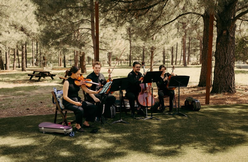Gallery photo 1 of Four Bridges Strings