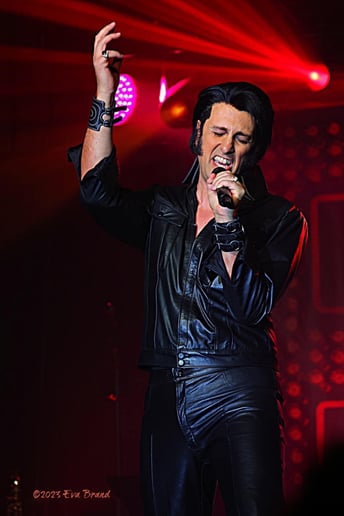 Gallery photo 1 of Alessandro Elvis Tribute Show