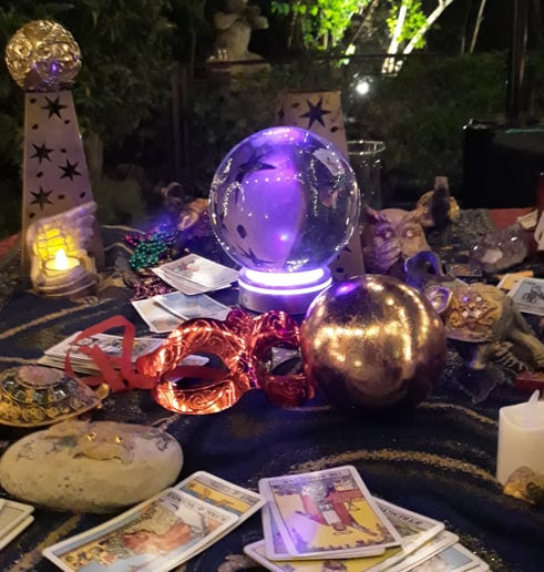 Gallery photo 3 of Alex Your Fortune Teller