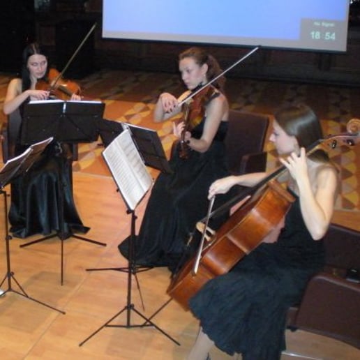 Gallery photo 16 of Alexandra NYC Cellist and Strings