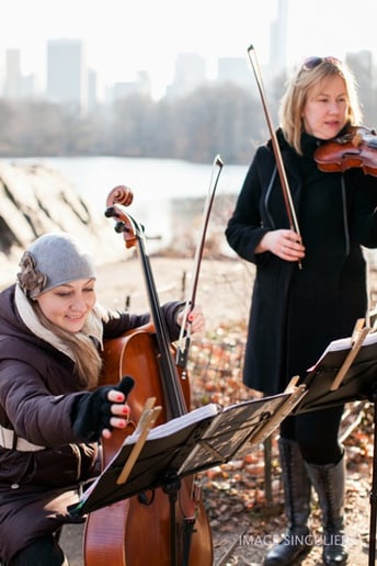 Gallery photo 15 of Alexandra NYC Cellist and Strings