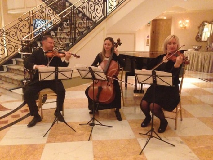 Gallery photo 3 of Alexandra NYC Cellist and Strings